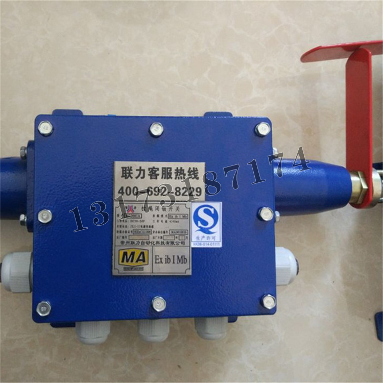 KG9001A-Z拉繩閉鎖開關(guān)|常州聯(lián)力自動(dòng)化科技有限公司