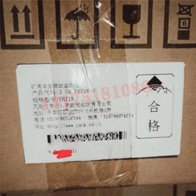 YHZ18礦用本安振動(dòng)監(jiān)測儀|天地(常州)自動(dòng)化股份有限公司